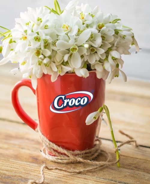 Croco Croco Mini Sticks 250G | Pretzels | Bagel Chips | Imported Snacks