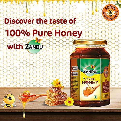 Zandu ZANDU CHYAVANAPRASH Avaleha for Increasing Immunity and Stamina, 900g & Pure Honey, 100% Purity, No Added Sugar, 500g