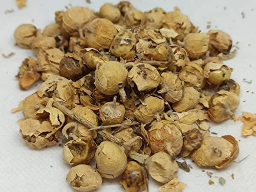 NATURALIFE NATURALIFE\'S-*PANNIR POO*-Indian Rennet Flower Dried I Withania coagulans Dunal I Paneer Poo/ I Paneer Phool/Paneer Doda I Panneru-gadda (250 GRAMS)