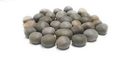 Ayushiv Ayushiv KARANJWA BEEJ (CAESALPINIA BONDUCELLA) - SAGARGOTA - KAT KARANJA SEEDS - KARANJ BEEJ - KALARCHIKKAI - FEVER NUT (1 KG)