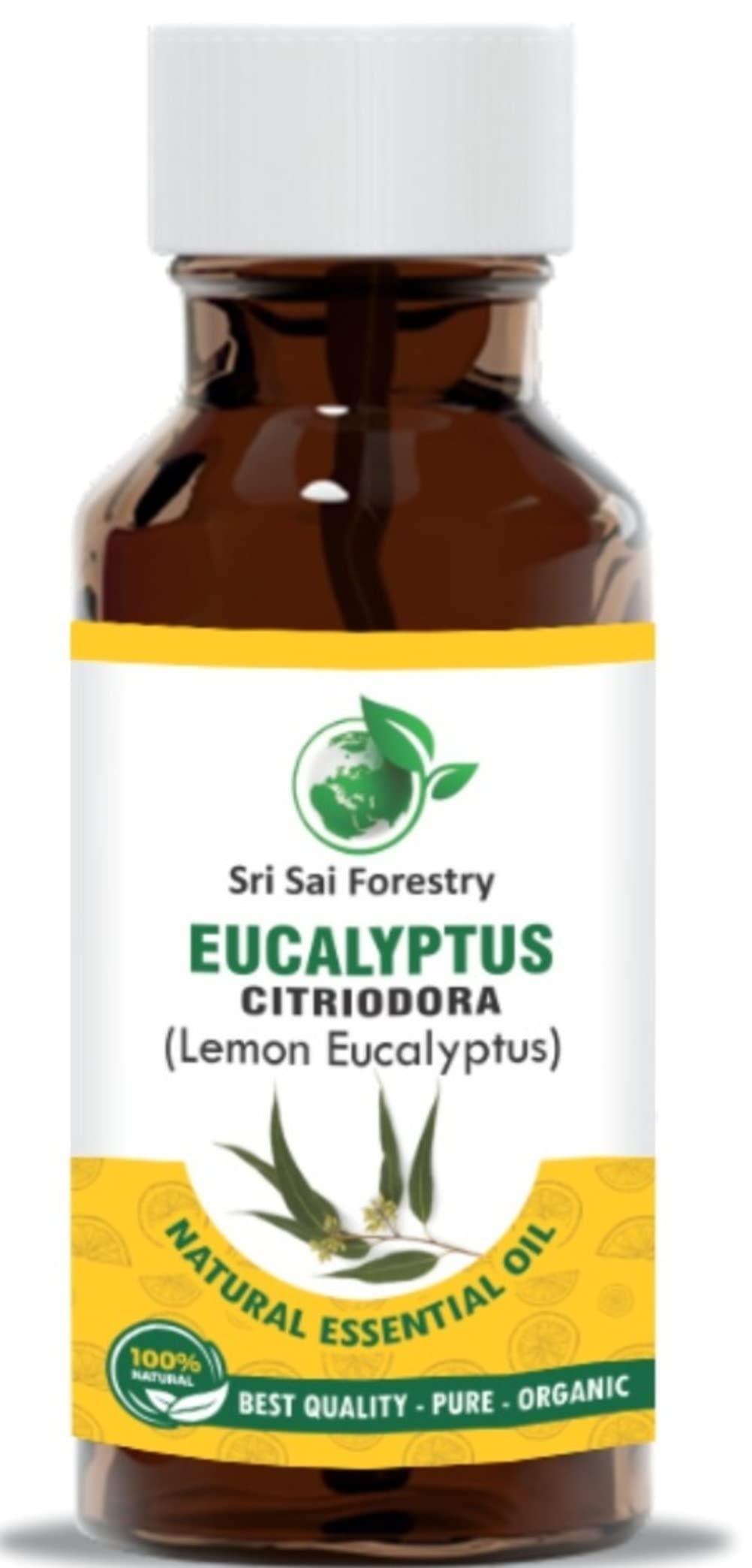 SRI SAI FORESTRY SRI SAI FORESTRY Eucalyptus Citriodora Oil (Lemon Eucalyptus) 50ml for Fresh, Citrusy Fragrance