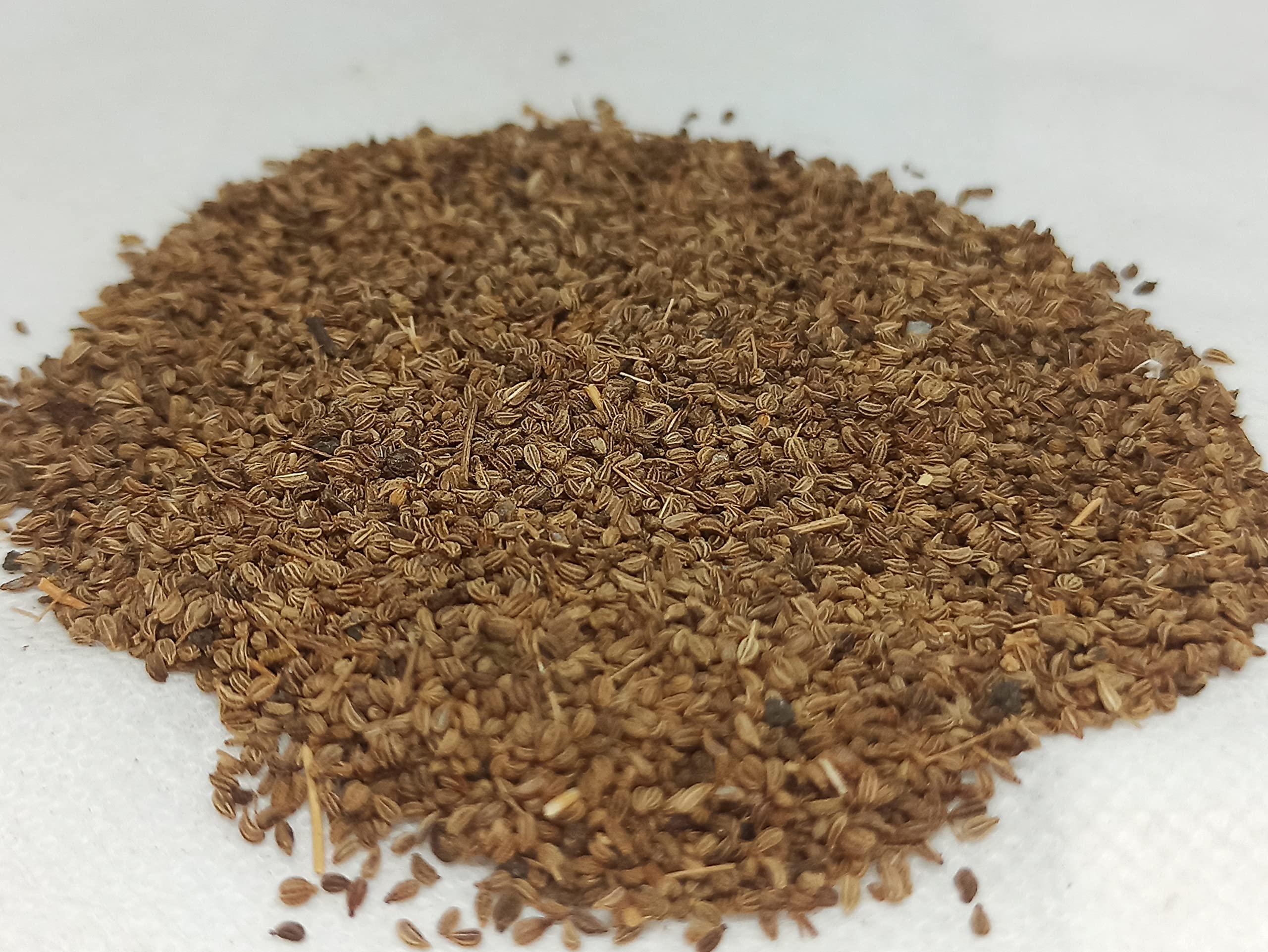 Generic NATURALIFES-*OMAM*- / Ajowan Caraway Dried / I Trachyspermum Roxburghianum I / Khurosani OMAM I / Khurosani Ajowan Seeds I Ayamodakam (250 Grams)