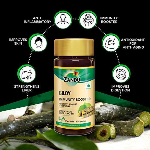 Zandu Zandu Giloy Capsules (Guduchi) 120 Veg Capsules, Natural Giloy Extract, Antioxidant Properties, Immunity Booster, Health and Wellness with 2X Immunity (Pack of 60 caps x 2)