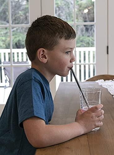 ANAB GI ANAB GI Reusable Straw Collapsible Metal Drinking Straw Portable Straw with case (Silver)