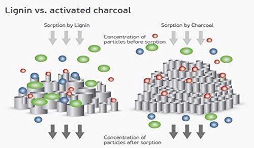 Filtrum Filtrum Swayamacare Pvt Ltd 400 mg Lignin Hydrolysed, 10 Tablets