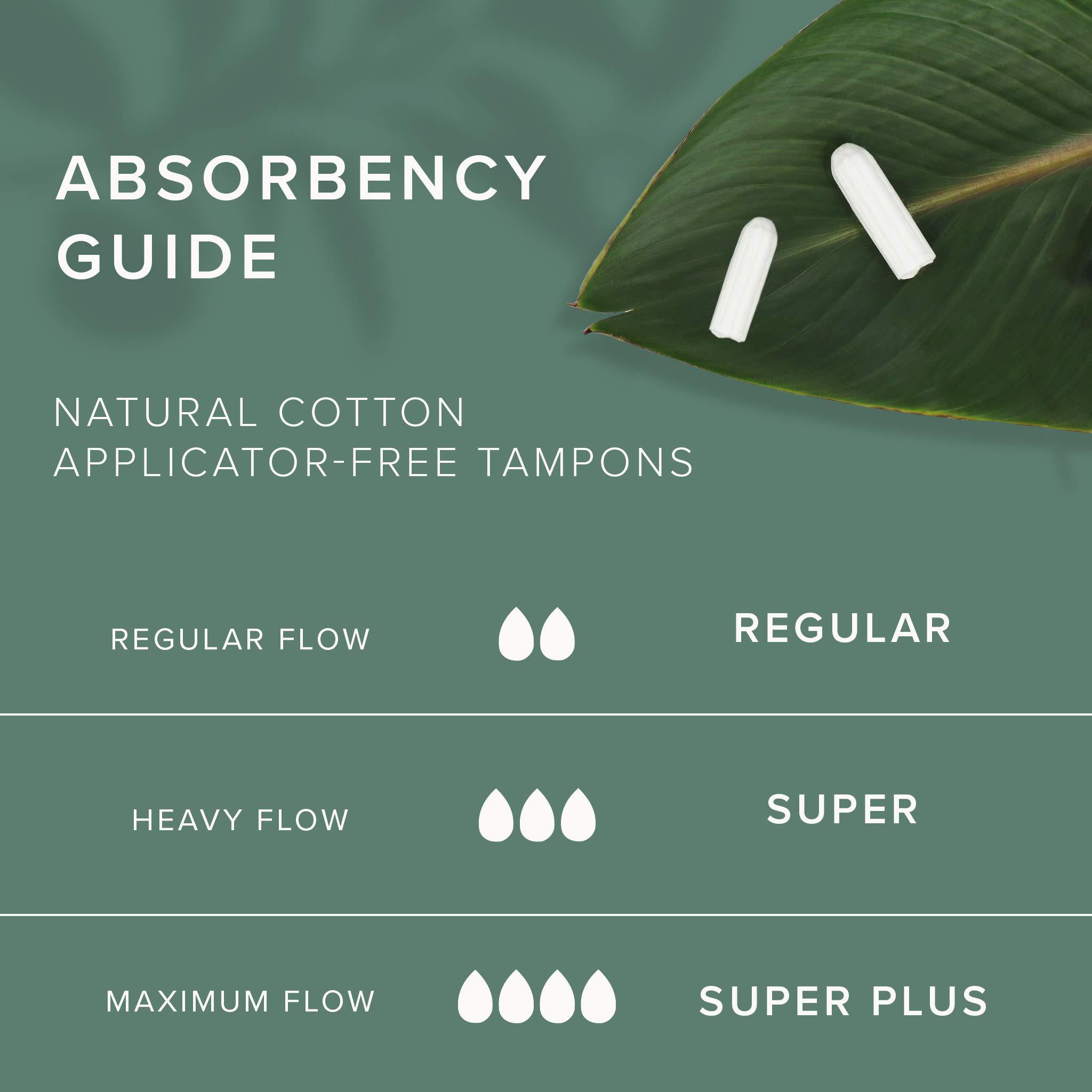 Veeda Veeda Regular Applicator Free Tampon - 16 - Count