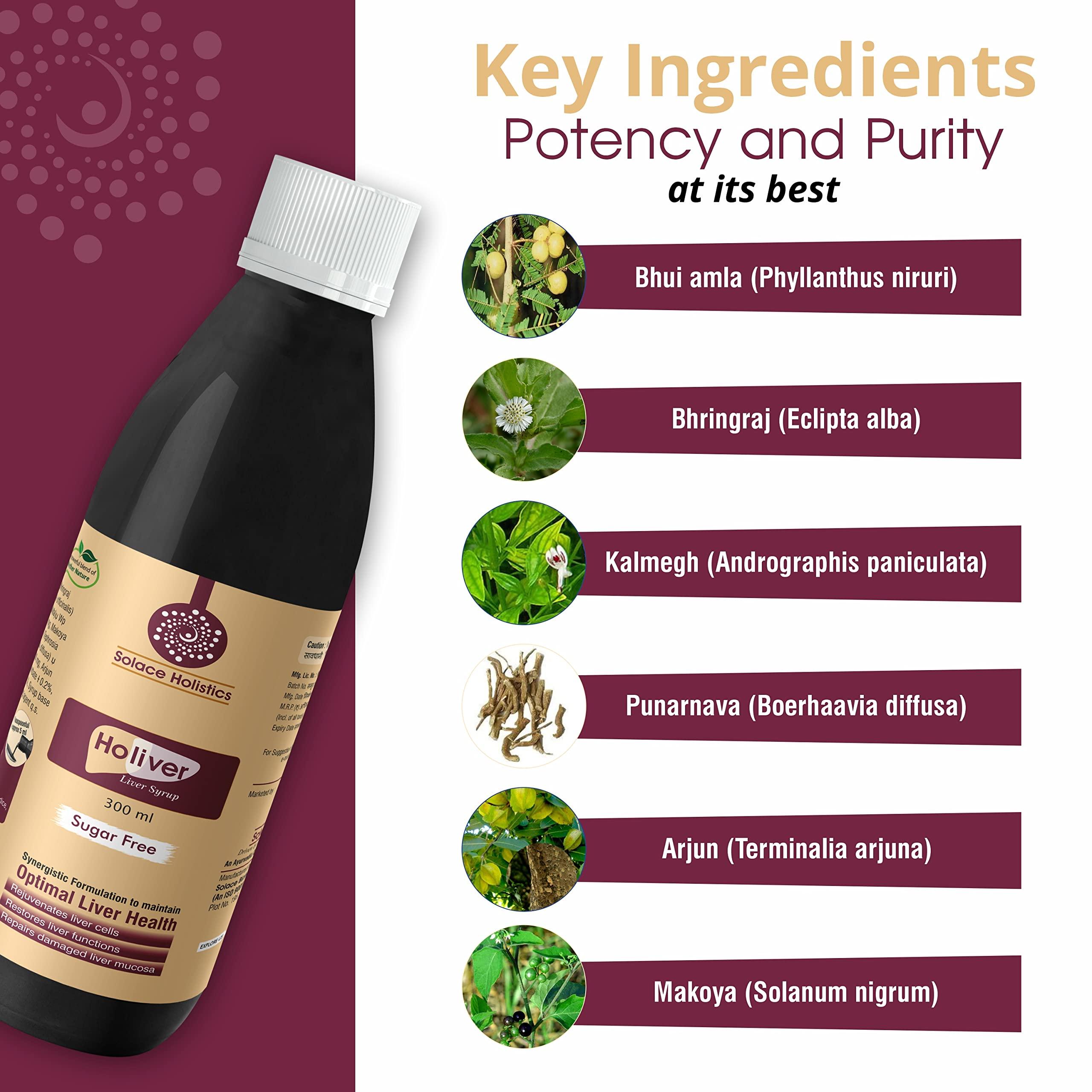 Solace Holistics Solace Holistics Holiver Suger Free Liver Syrup 300ml Pack of 1