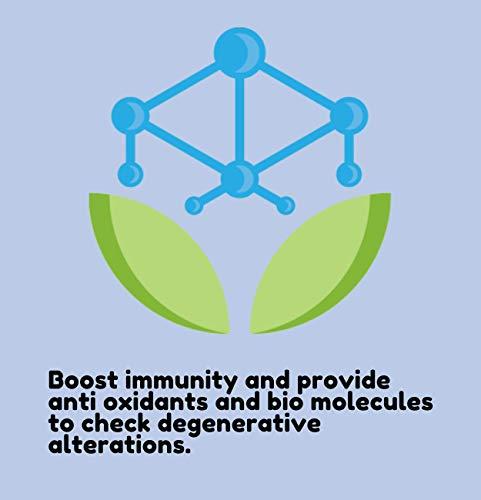 JIVAN SHREE WITH DEVICE OF SHREE Kidney Formula Ayurvedic medicine for Kidney (All Problems) & Creatnine Kidney Support |Natural Kidney Cleanse And Detox Supplement (120 Capsules Pack of 2)