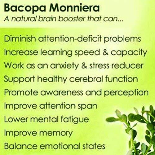 MALVANIYA HERBAL CARE Brahmi Hair Powder | 100% Natural Herbal for Hair Cleanser 227 Grams By Malvaniya Herbal Care