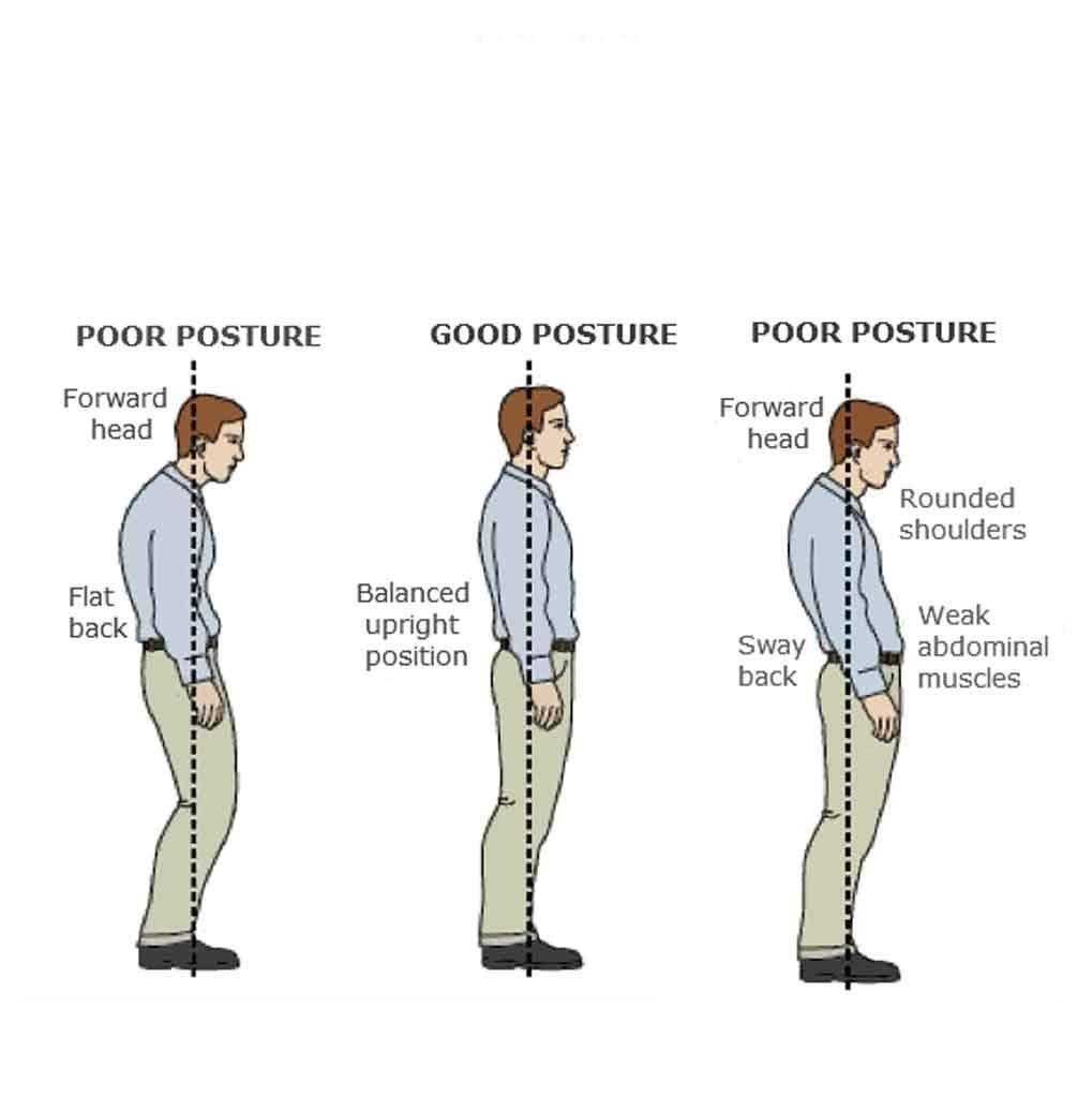 House of Quirk House of Quirk Posture Support Brace | Best Fully Adjustable Support Brace | Improves Posture and Provides Lumbar Support | For Lower and Upper Back Pain (XL)