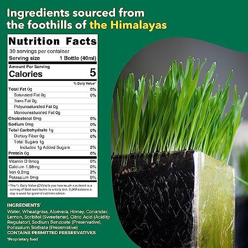 AKIVA LOVE Akiva Love Wheatgrass Lemon Coriander Blood Purification Shots | Feel Fresh with Green Cleanse | Blood Purification & Full Body Detox | Pack of 30 | Natural, Ayurvedic, Ready To Drink | 2oz |