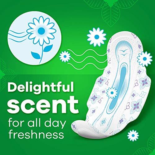 Whisper Whisper Ultra Clean Sanitary Pads For Women, X-Large +, Pack of 50 Napkins + Whisper Bindazzz Nights Sanitary Pads, XX-Large+, Pack of 16 Napkins