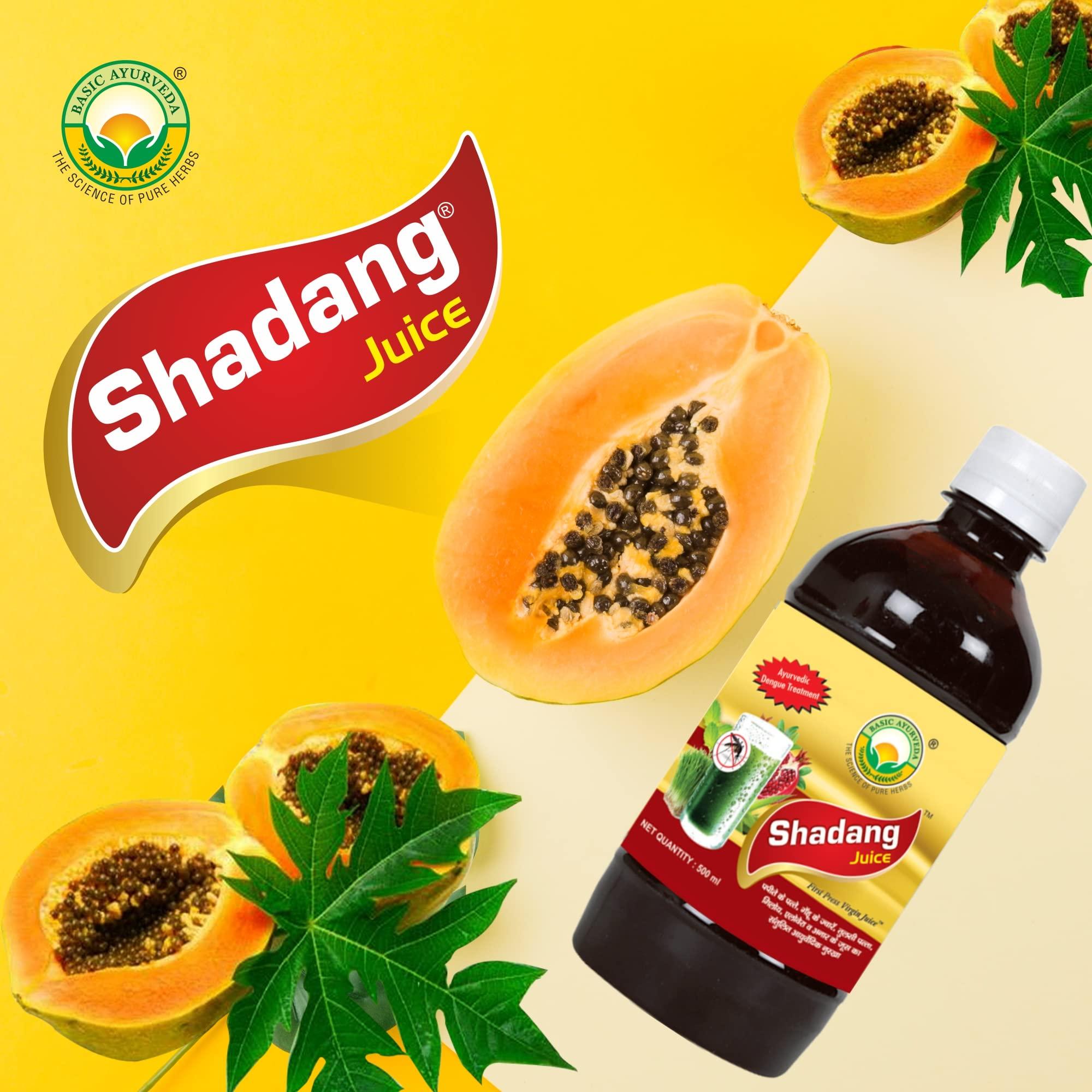 JRC JRC Chironji, Charoli Dry Fruits 100 Gms