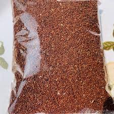 VVVAS VVVAS Ragi Seed Grain Whole Finger Millet Nachani Natural Multi-Grain Ragi Seeds 2Kg