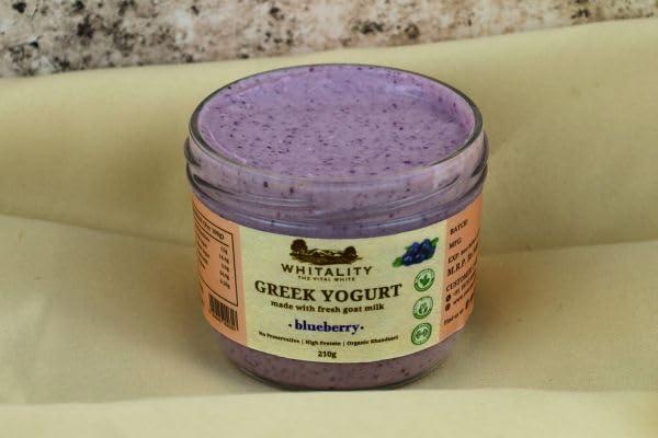 WHITALITY Whitality Greek Yogurt | Made with Free Range Goat Milk | No Preservatives | Natural processing | Good for lactose intolerant | improves gut health | Glass Jar Packaging | 210gm | Blueberry