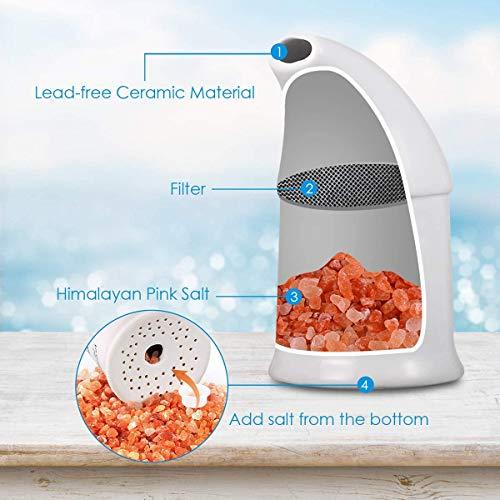 Green Home Himalayan Salt Inhaler & 180g Pink Salt, Crystal Salt, Refillable Salt Inhaler- All-Natural Respiratory Aid, Salt Therapy Pocket Inhaler for Health and Wellness-White