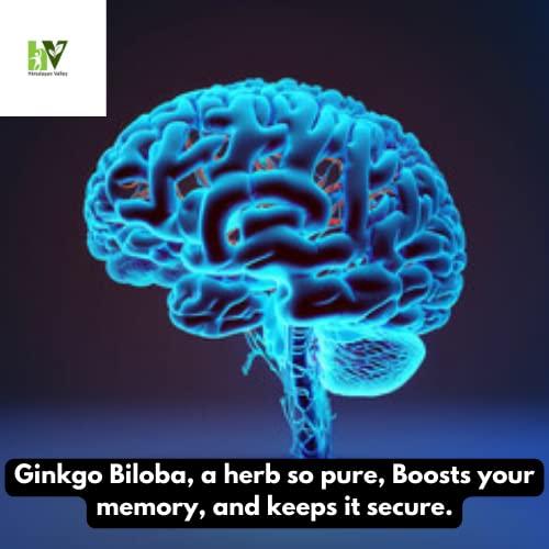 Himalayan Valley Ginko Biloba (With Brahmi) || Boosts Your Memory || Brain Food Supplement || 60 Capsules