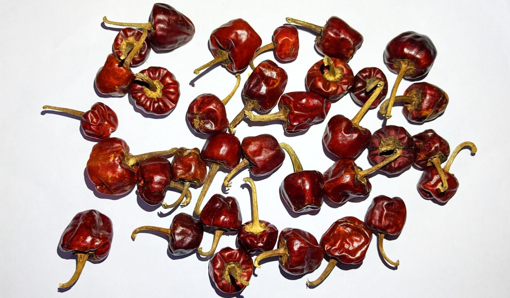 Generic Chilli Chronicles - Ramnad Gundu Chilli - GOL Mirchi - Mundu Chilli - 500g