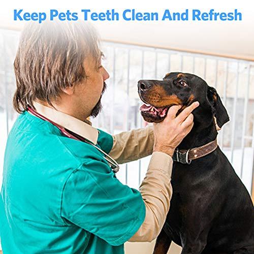 Langsum Professional Dental Tools, Langsum Stainless Steel Teeth Cleaning Tools for Dentist, Personal Using, Pets, Dental Hygiene Kit with Dental Scaler Pick, Tooth Tartar Scraper Remover and Storage Box