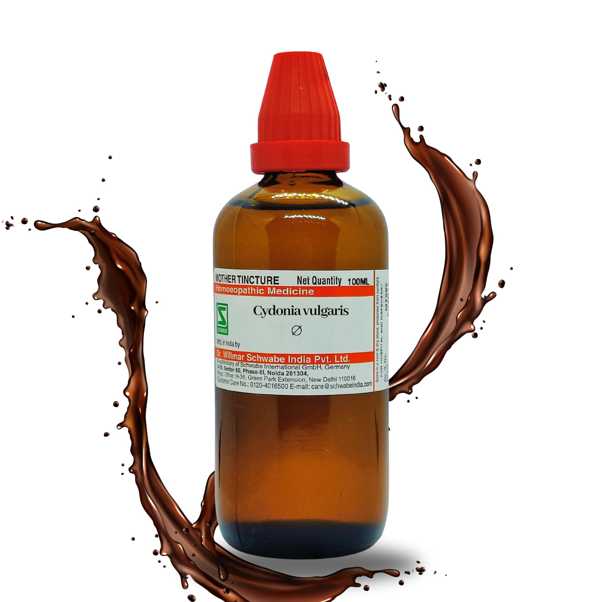 HOMEOLAV Dr Willmar Schwabe India Cydonia vulgaris Q 100ML || Mother Tincture || Schwabe Homeopathy Medicine