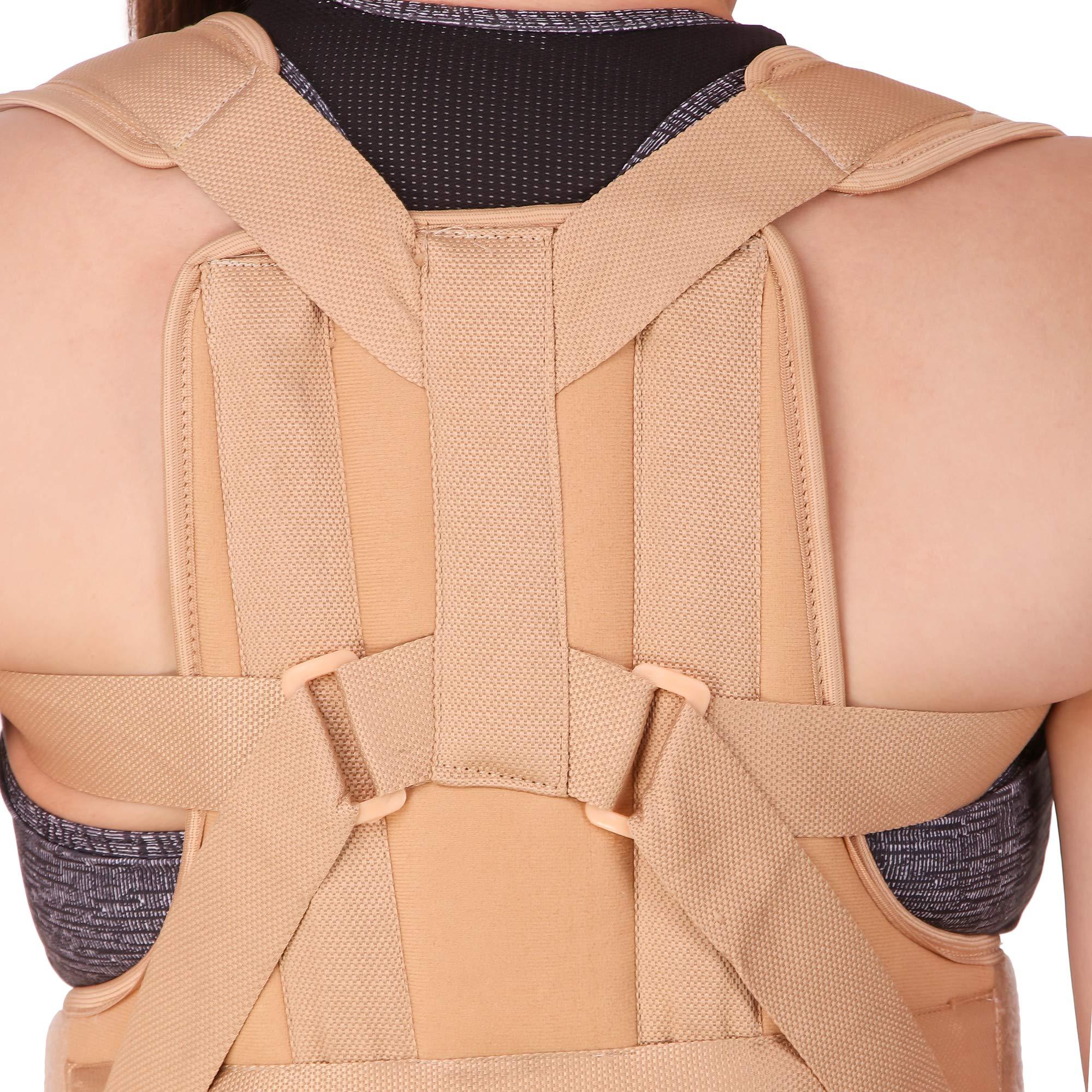 SE Rehabilitation SE REHABILITATION Taylor Spinal Brace - Large