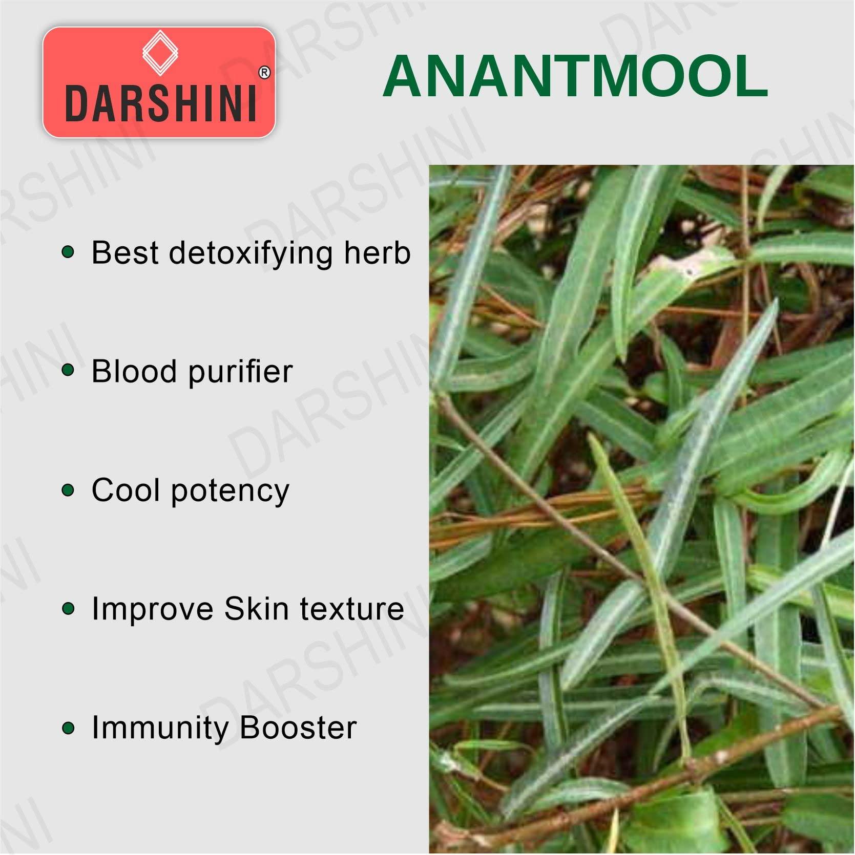 DARSHINI Darshini Anantmool / Anantmul / Indian Sarasaparilla / Hemidesmus indicus Powder, 200g