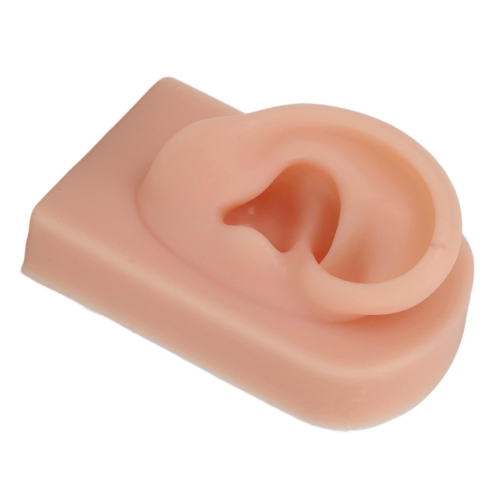 Bannt Fake Ear Model, Easy To Use Right Ear Flexible Silicone Human Ear Model for Earrings Display for Ear Piercing Training Dark Complexion