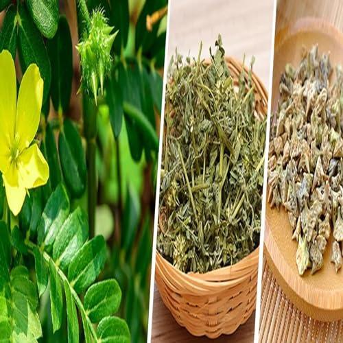 Ketley Gold Ketley Gold Tea Bag 10kg | Premium Strong Assam Tea | 5kg x 2