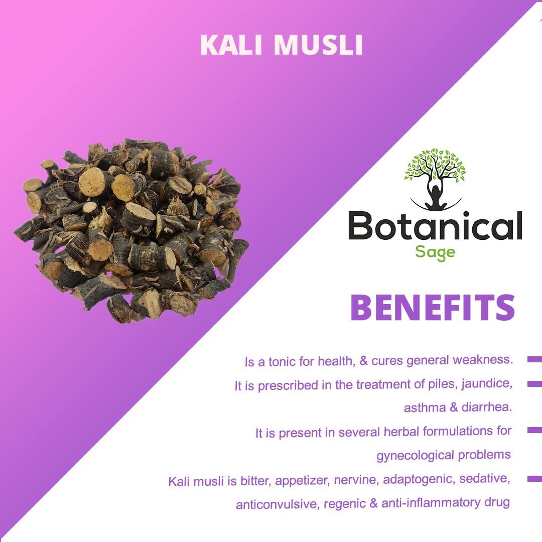 Botanical Sage Botanical Sage- Musli Kali 500g | Curculigo Orchiodes | Black Musli Root |selected | Extra Cleaned