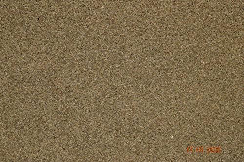 YEXUS Yexus Premium Ajwain Seeds, 50g | Ajmod | Jumud | Omam | Carom Seeds | Caraway | Thymol Seeds