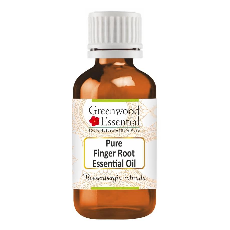 Greenwood Essential Greenwood Essential Pure Finger Root Essential Oil (Boesenbergia rotunda) Natural Therapeutic Grade Steam Distilled 30ml (1 oz)