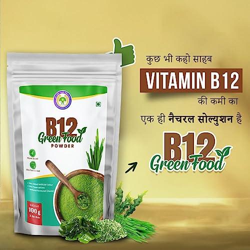 Vichip B12 Green Food Powder 100 gms | 100% Natural Plant Based Vitamin B12 Supplement for Men & Women | No Preservatives