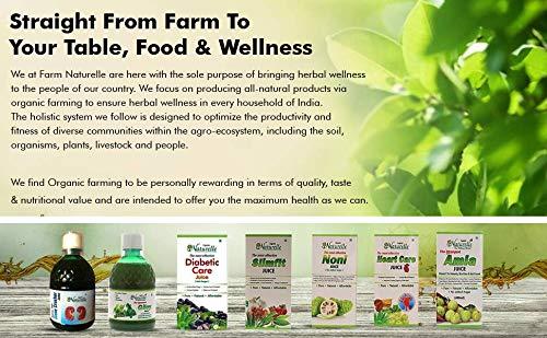 Farm Naturelle Farm Naturelle-Most Effective Ayurvedic Kidney stone crusher, breaker juice (Patharchatta juice)-Combination of Patharchatta and Gokhru Beej to clean Kidney of blockages-1+1 Free-2x400ml+ 2x55g Herbs Infused Forest Honey