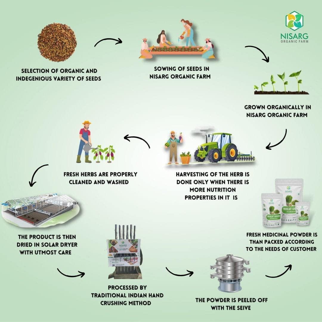 NISARG ORGANIC FARM NISARG ORGANIC FARM Combo of Amla, Giloy, and Gokhru Powder I Traditional Method Made I Pure Herbal & Ayurvedic I for Immunity booster, Hair Growth, Face & Skin Care Overall Health & Wellness (200gm)