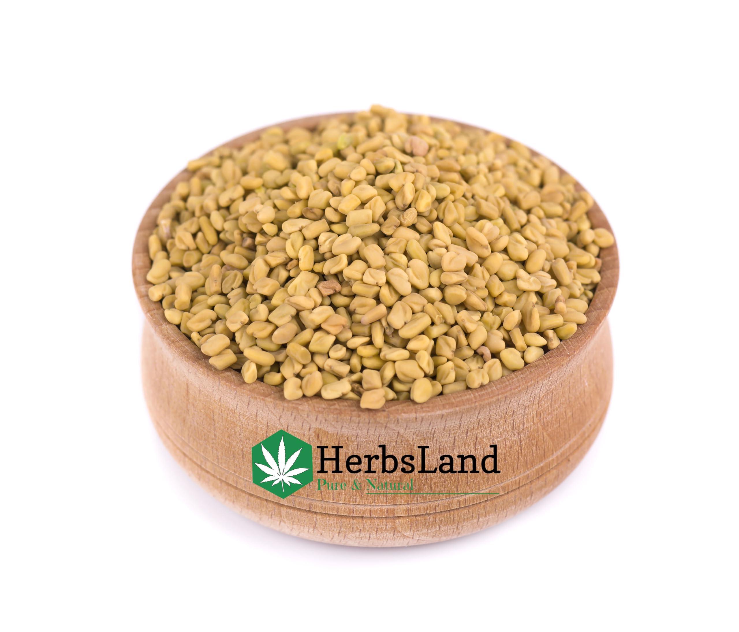 HerbsLand HerbsLand Fresh/Natural Dried Fenugreek Seeds | Trigonella Foenum-Graecum | Whole Methi Dana Seeds | Menthya,Venthayam,Menthulu | Indian Spices & Masala (Pack of 3) (200gm Each) (600 gm)
