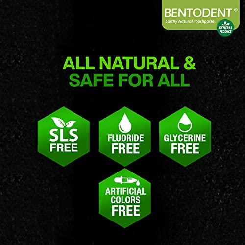 BENTODENT TOOTHPASTE Bentodent toothpaste - Teeth Whitening Products | Activated Charcoal Mint Teeth Whitening Toothpaste | Enamel Safe, Natural | Foam free, Fluoride Free - (Pack of 2 Teeth Whitening Products)