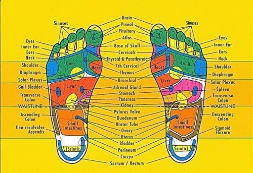 Generic Acupressure Slipper With Magnets For Stress And Pain Relief Flip Flops (10full)