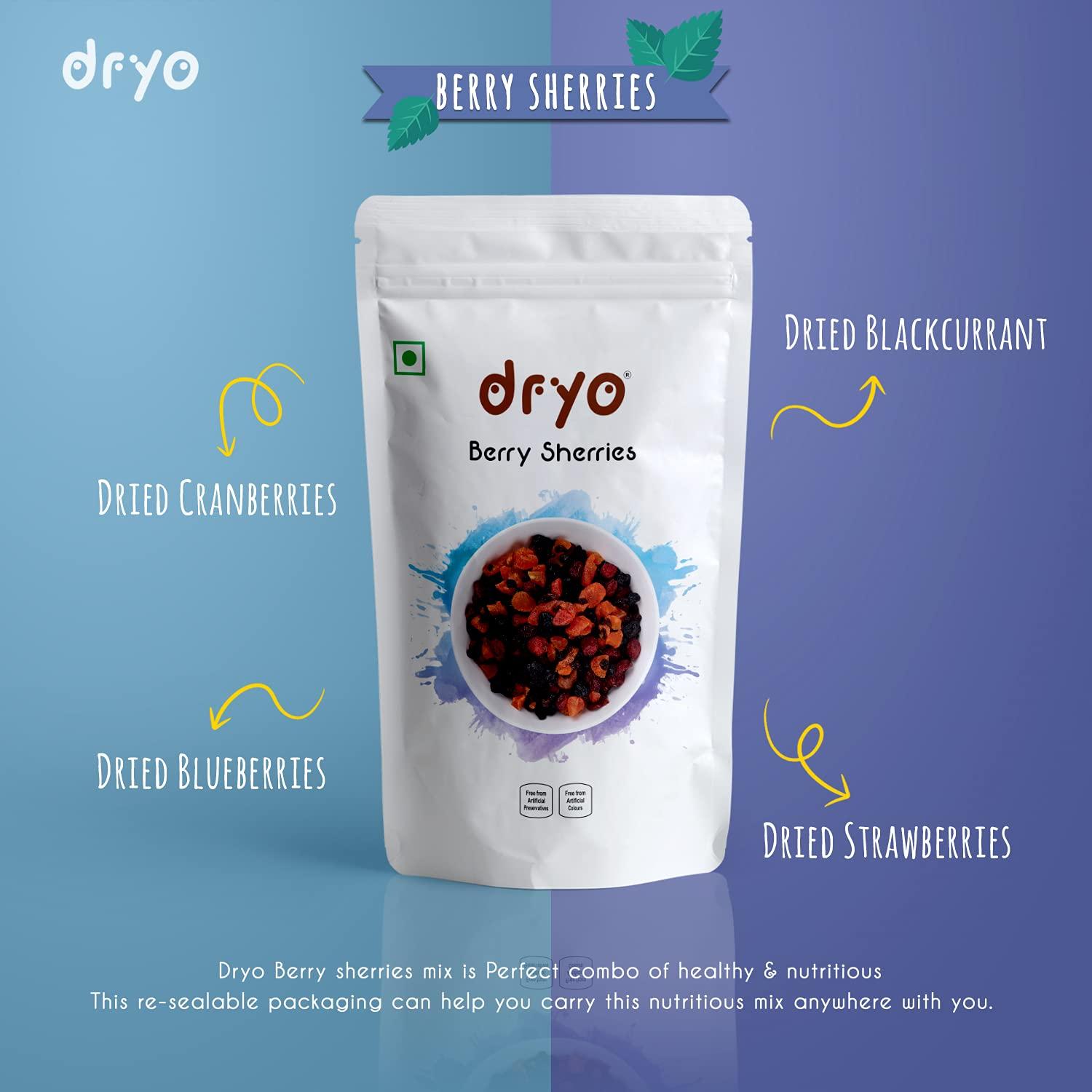 dryo Dryo Healthy Snack Berries Sherries Mix Dried Berries (Cranberries, Blueberries, Strawberries, Black Currants) for Kids and Adult (Pack of 1) - 200 g