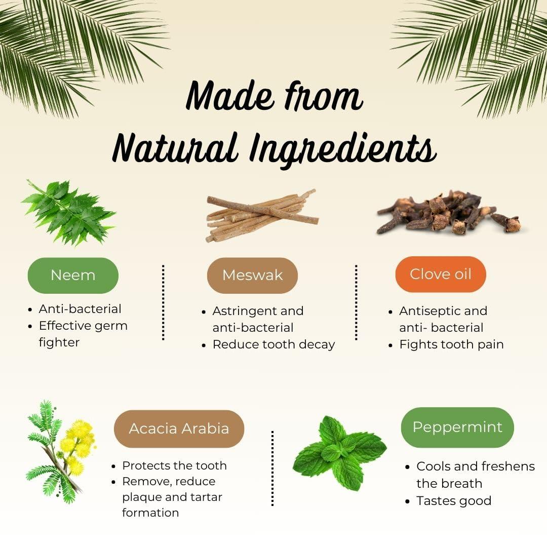 pil Pil Neem Plus Herbal Dental Gel | Neem toothpaste with Clove, Meswak & Babool | Promotes Fresh Breath & Keep Gum's Healthy (400g, Pack of 4)