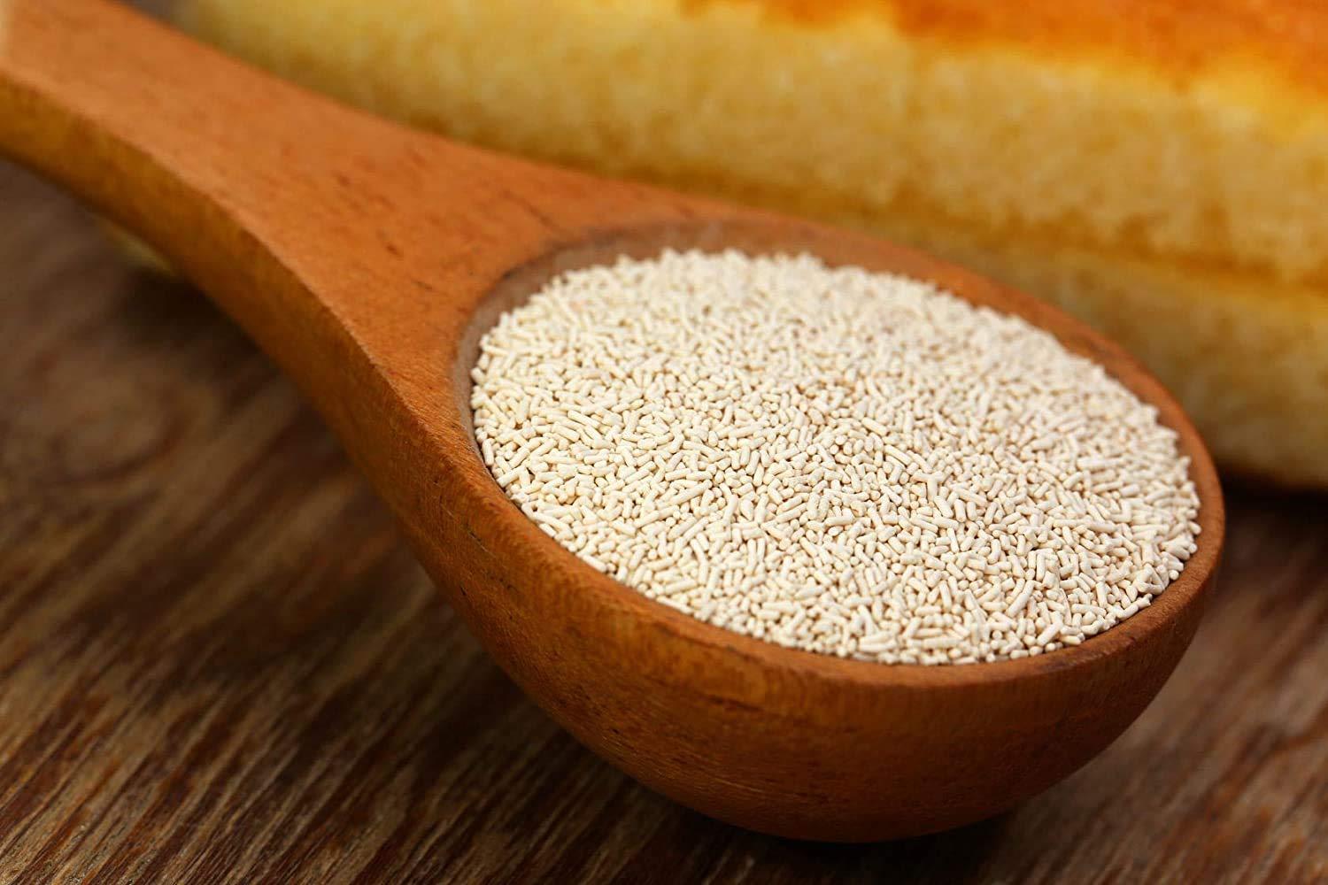 FreshoCartz FreshoCartz Instant Active Dry Yeast | Instant Yeast | Khamir | khameer Powder for Baking, Bread, Cake, Pizza & Dough (900gm)