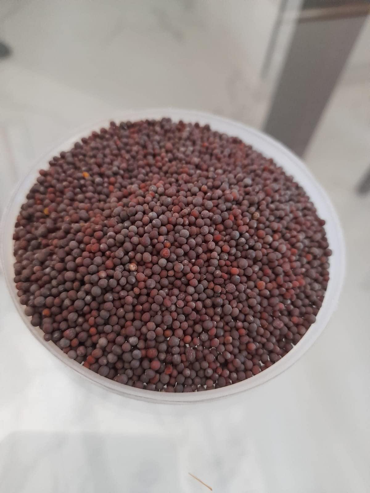 Generic Brown mustard seeds, Rai or sarson 200gm