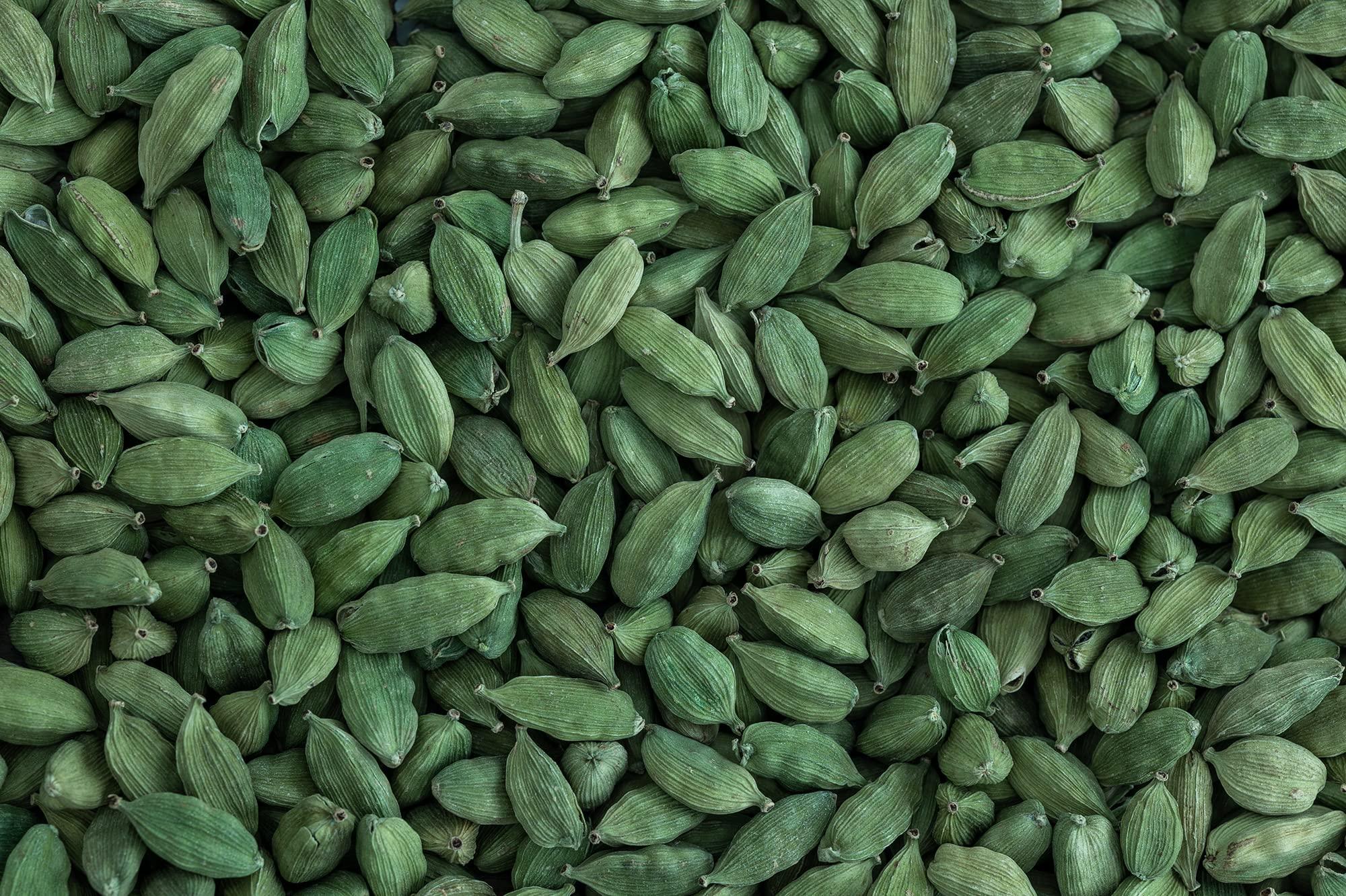 Malabar Coast Malabar Coast - Whole Green Cardamom/Elaichi - Idukki, Kerala - Large Size 8mm+ - No Artificial Colours (100gms)