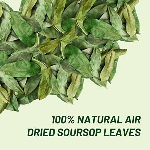 abamec Soursop Leaves, Graviola Soursop Dried Natural Leaves, 100% Natural and Handpicked Freshly Dried Soursop (Guanabana) Leaves (100 Leaves)