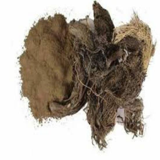 YUGANTAR YUGANTAR JATAMANSI ROOT POWDER - BALCHAD POWDER - JATAMASI JADD POWDER - NARDOSTACHYS - MUSK ROOT - SPIKENARD 100 GM