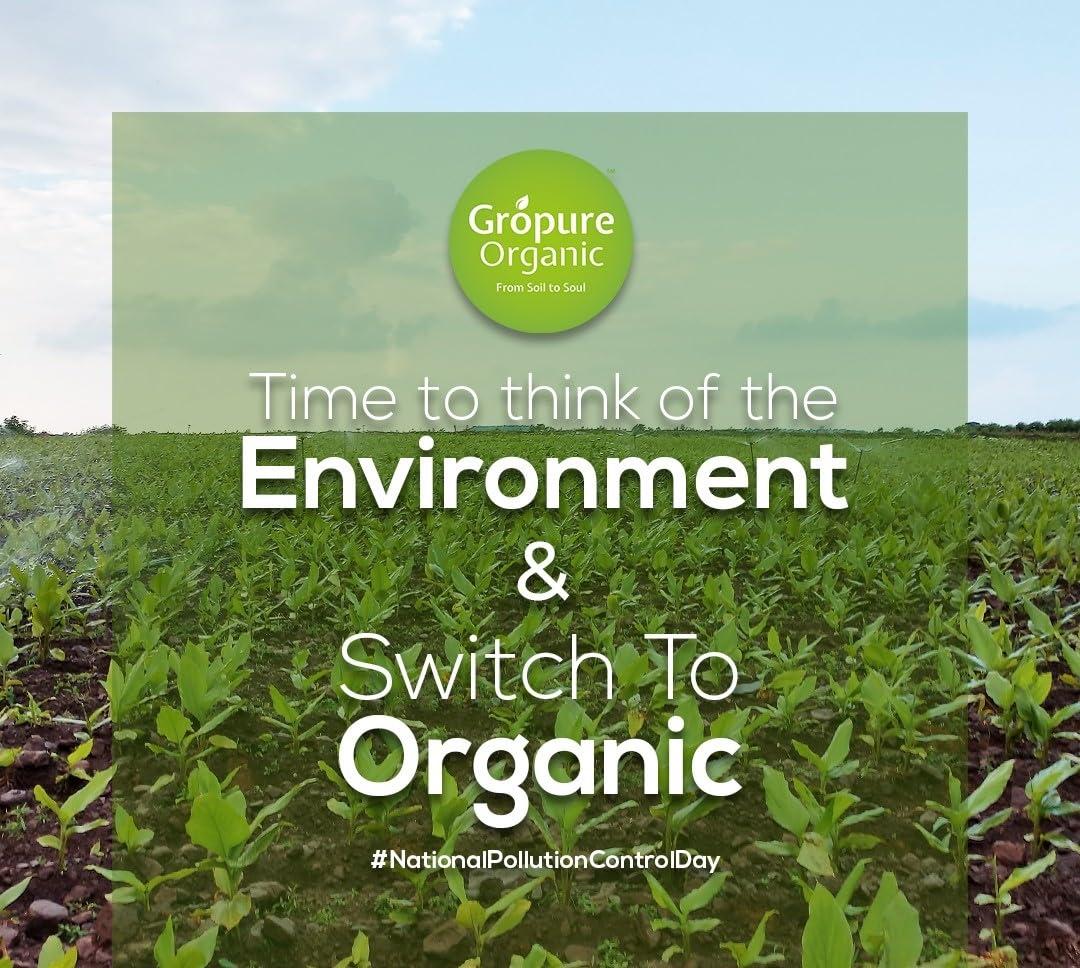 Gropure Organic: From Soil to Soul GroPure Organic: From Soil to Soul - Rajma(Red Kidney Beans) - 900g I Red Kidney Beans I Jammu I Kashmiri I High Protein Pulses I Chemical & Pesticide Free I Best Organic PULSES