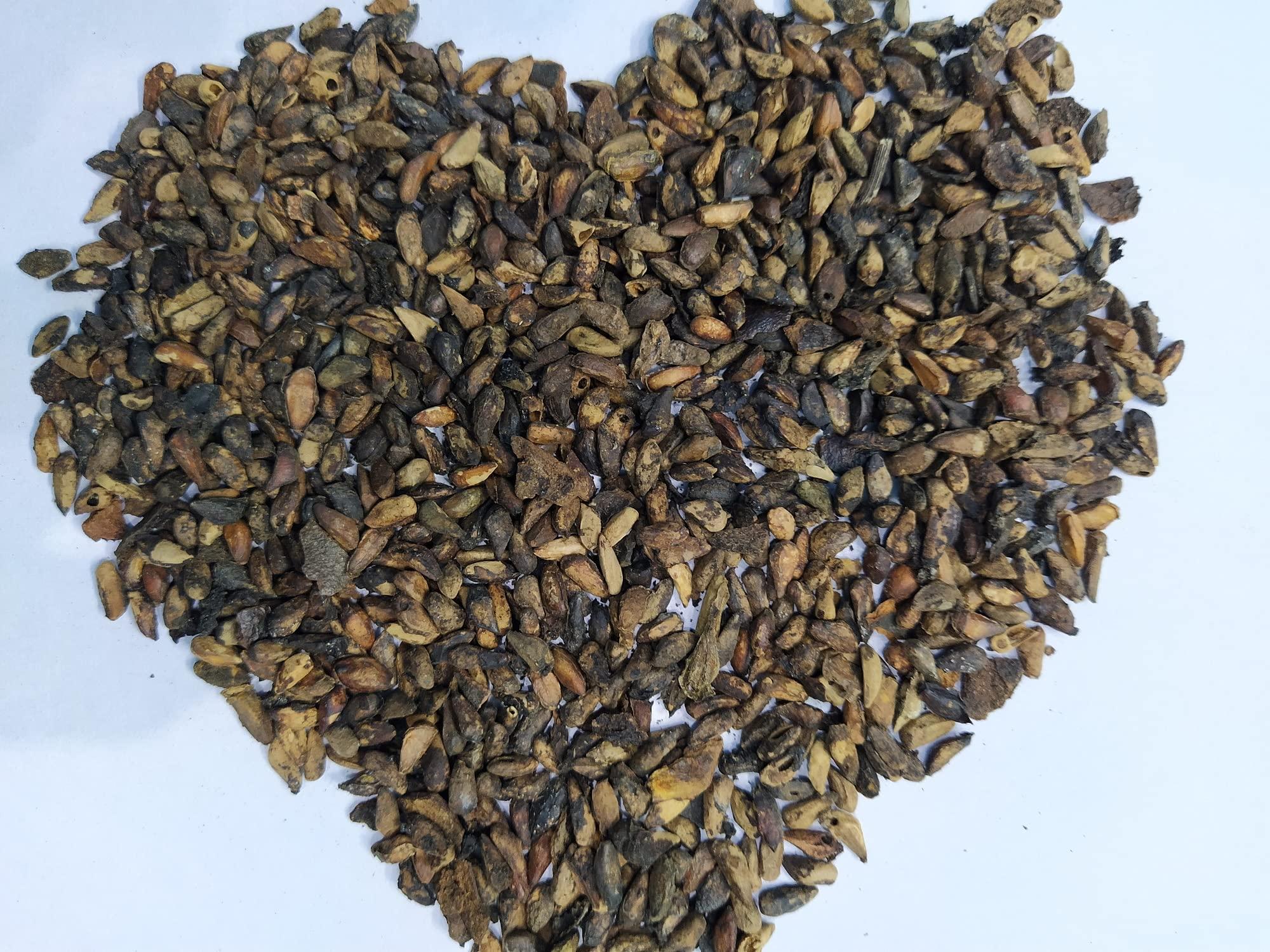 EasySeeds EasySeeds EasySeeds Pomegranate Seed Dark Red, Punica Granatum Fruit Tree, Anar Fruit Seed, Organic Giant Pomegranate Seeds (100)