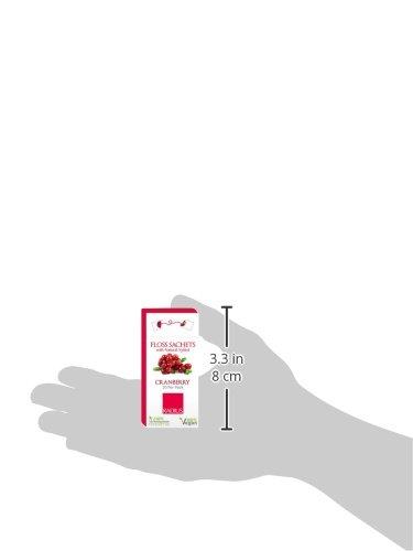 RADIUS RADIUS Vegan Floss Sachets with Natural Xylitol, Cranberry, 20 Count