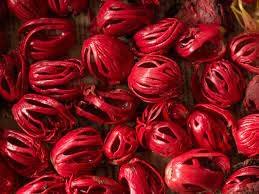 Issas Delight Naturals Issas Delight Naturals| Mace | Mace Spice | Javitri Flower | Javitri Whole | Javitri Flower Whole | Japatri | Big Size Mace Flower | 100% Natural Mace Flower | Cultivated at Kerala (100g) (500)