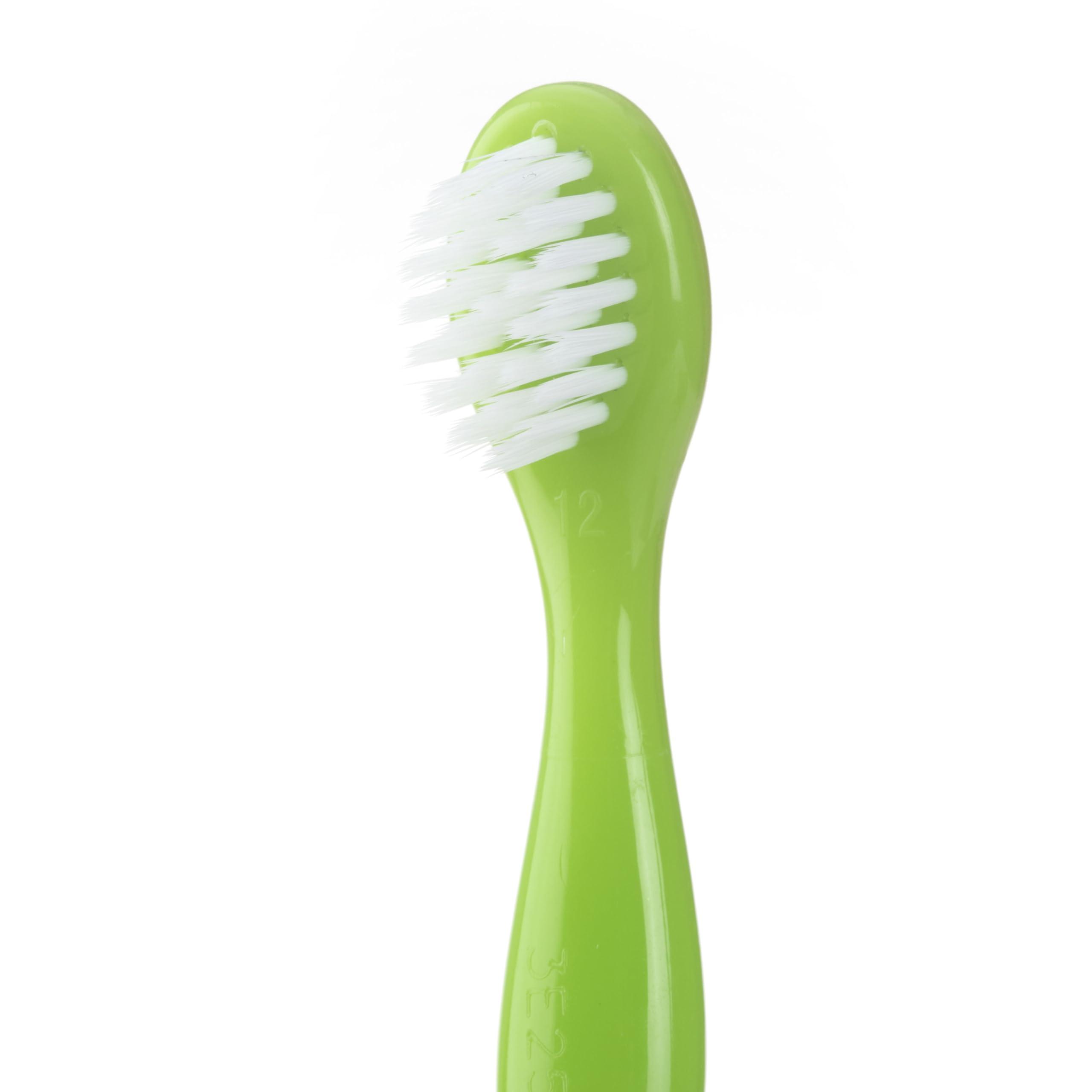 ALCON Freshlook Colorblends - Monthly Color Contact Lenses (-07.00, Honey, Pack of 2) | From Alcon