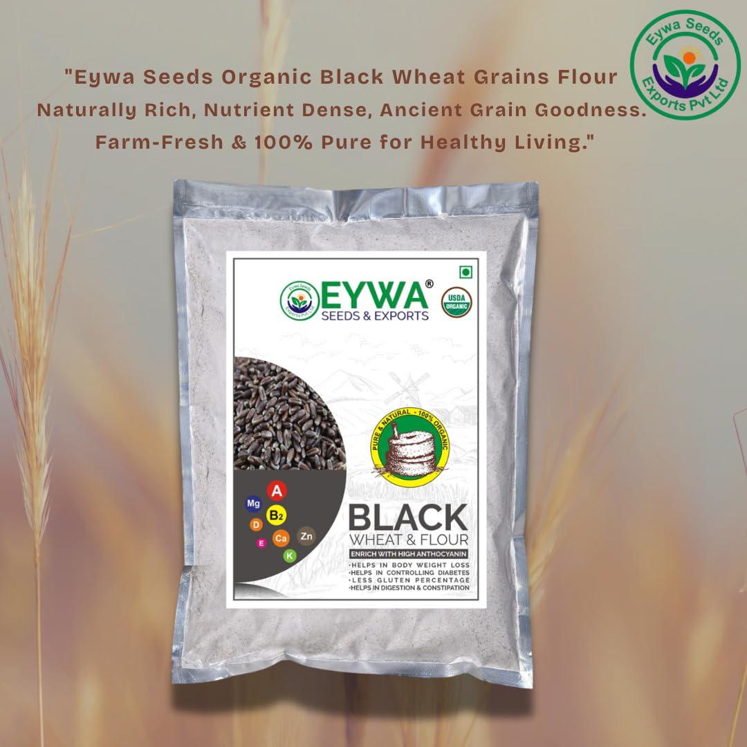 Eywa Seeds & Exports Pvt Ltd Eywa Seeds & Exports Pvt Ltd Organic Black Wheat Flour For Eating & Cooking | Best For Disease (High Blood Sugar Otas) Patient | Non-Gmo | Antioxidants | Very Good For Health (2 Kg)